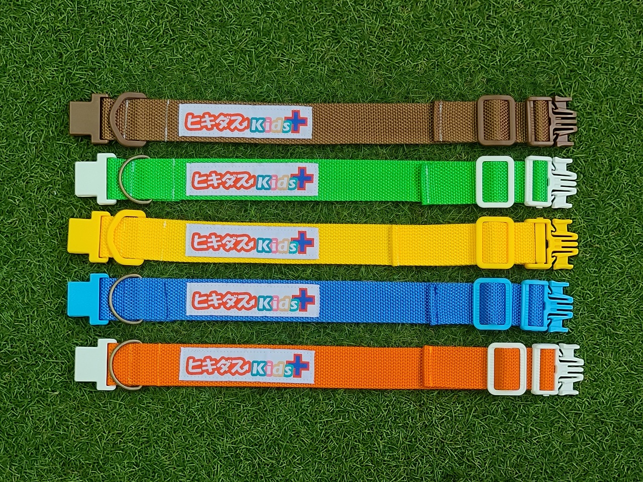 ヒキダスベルト